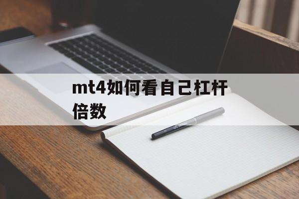 mt4如何看自己杠杆倍数