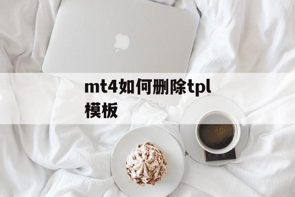 mt4如何删除tpl模板