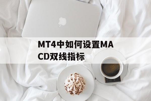 MT4中如何设置MACD双线指标