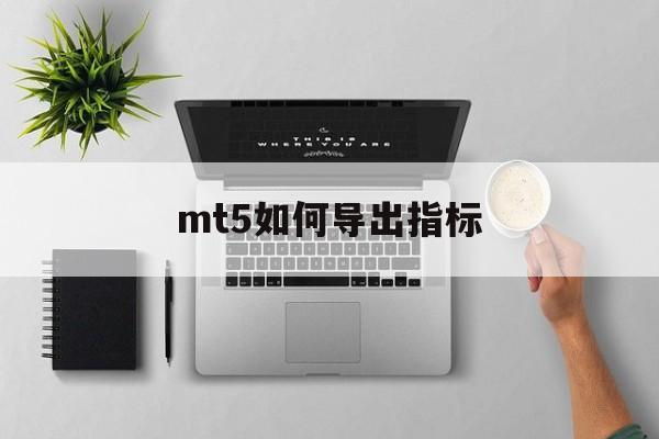 mt5如何导出指标