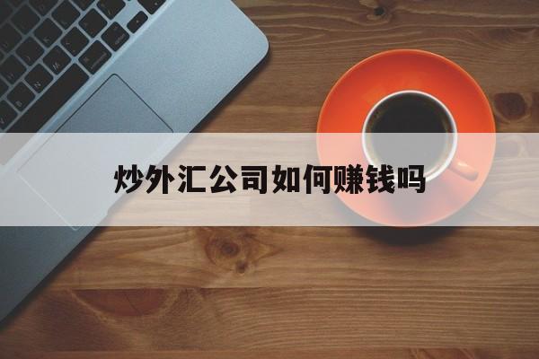 炒外汇公司如何赚钱吗