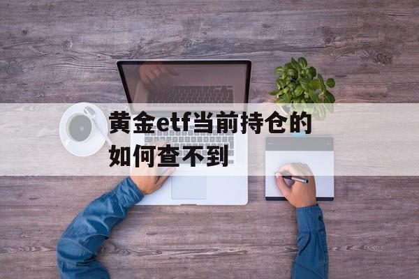 黄金etf当前持仓的如何查不到