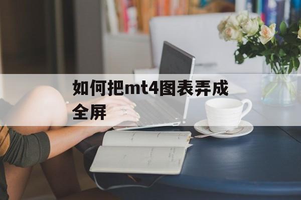 如何把mt4图表弄成全屏