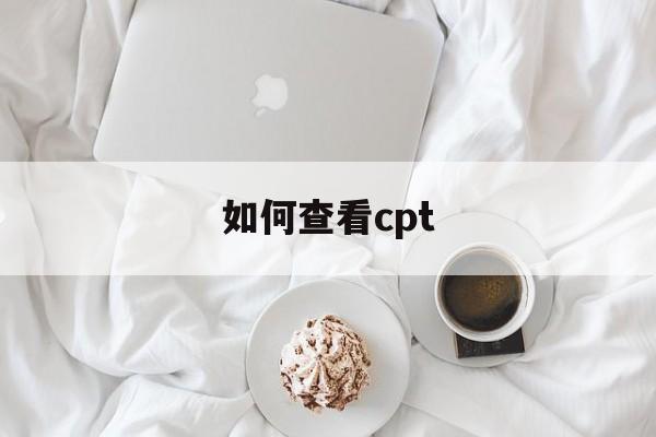 如何查看cpt