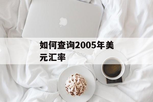 如何查询2005年美元汇率