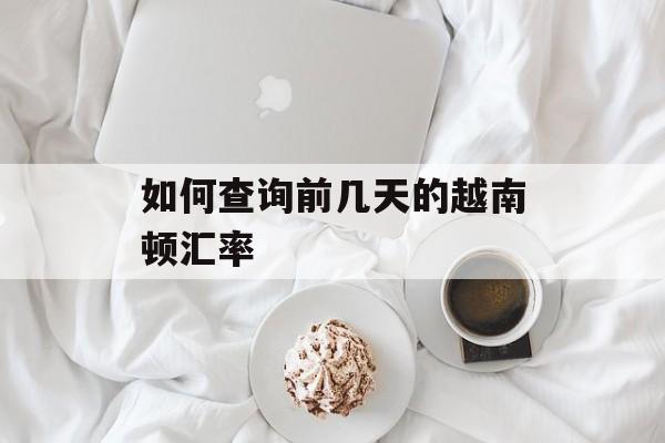 如何查询前几天的越南顿汇率