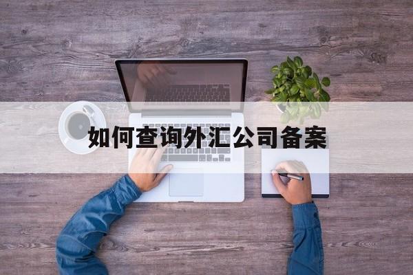 如何查询外汇公司备案