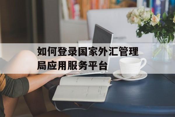 如何登录国家外汇管理局应用服务平台