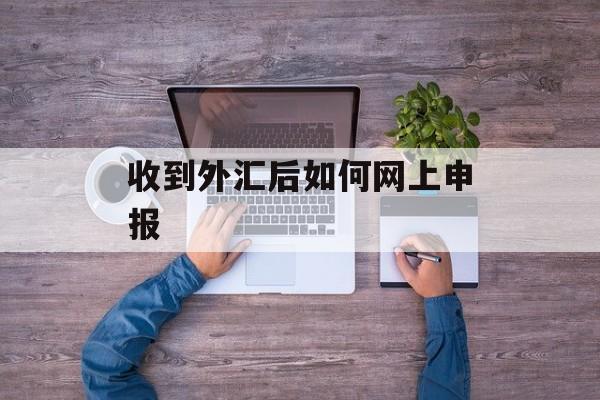 收到外汇后如何网上申报