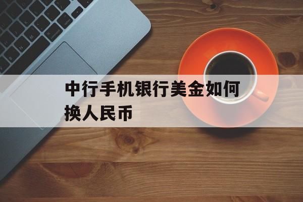 中行手机银行美金如何换人民币