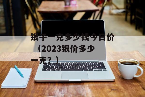 银子一克多少钱今日价 （2023银价多少一克？）