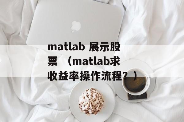 matlab 展示股票 （matlab求收益率操作流程？）