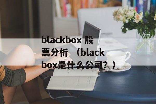 blackbox 股票分析 （blackbox是什么公司？）