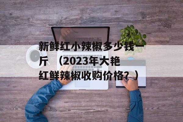 新鲜红小辣椒多少钱一斤 （2023年大艳红鲜辣椒收购价格？）