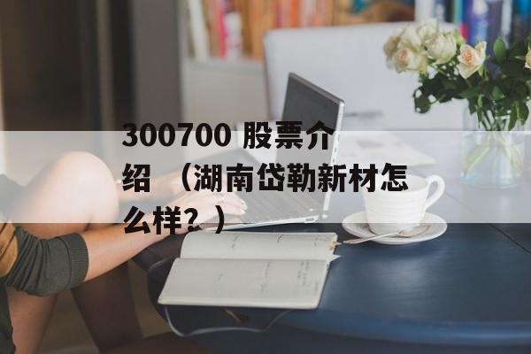 300700 股票介绍 （湖南岱勒新材怎么样？）