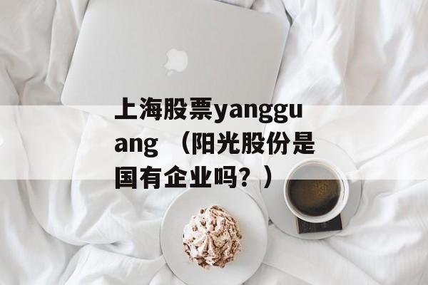 上海股票yangguang （阳光股份是国有企业吗？）