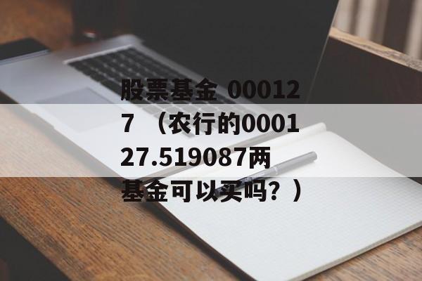 股票基金 000127 （农行的000127.519087两基金可以买吗？）