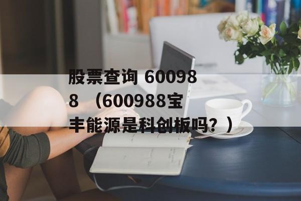 股票查询 600988 （600988宝丰能源是科创板吗？）