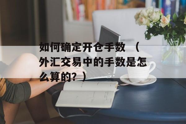 如何确定开仓手数 （外汇交易中的手数是怎么算的？）