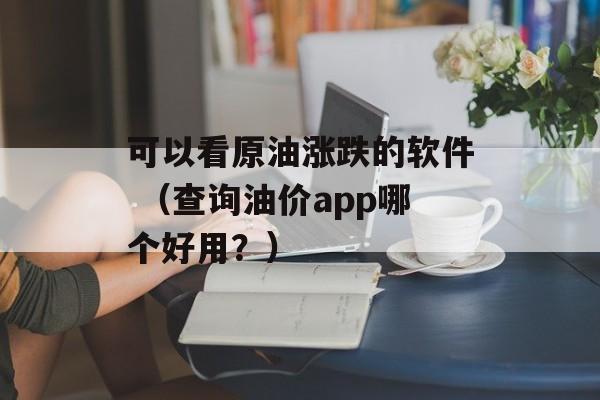 可以看原油涨跌的软件 （查询油价app哪个好用？）