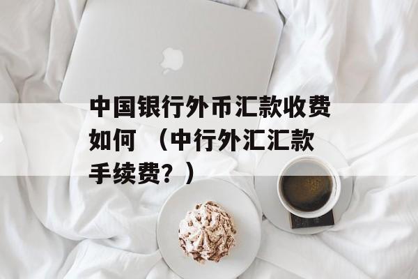 中国银行外币汇款收费如何 （中行外汇汇款手续费？）