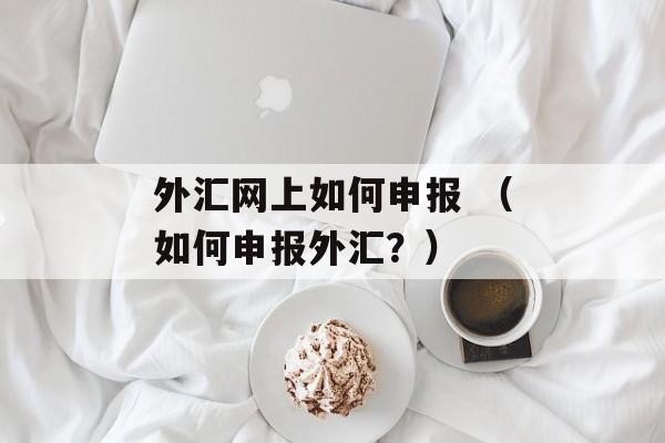 外汇网上如何申报 （如何申报外汇？）