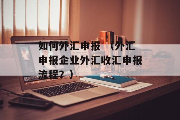 如何外汇申报 （外汇申报企业外汇收汇申报流程？）