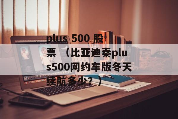 plus 500 股票 （比亚迪秦plus500网约车版冬天续航多少？）