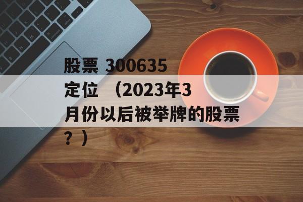 股票 300635 定位 （2023年3月份以后被举牌的股票？）