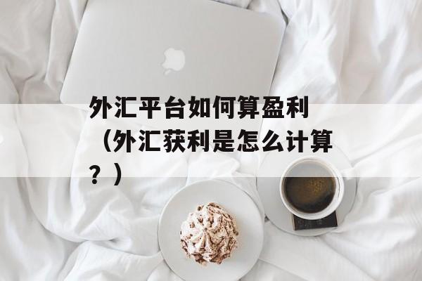 外汇平台如何算盈利 （外汇获利是怎么计算？）