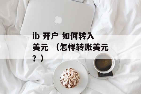 ib 开户 如何转入美元 （怎样转账美元？）