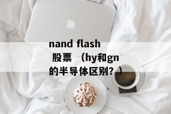 nand flash 股票 （hy和gn的半导体区别？）