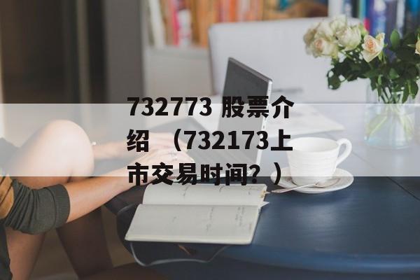 732773 股票介绍 （732173上市交易时间？）