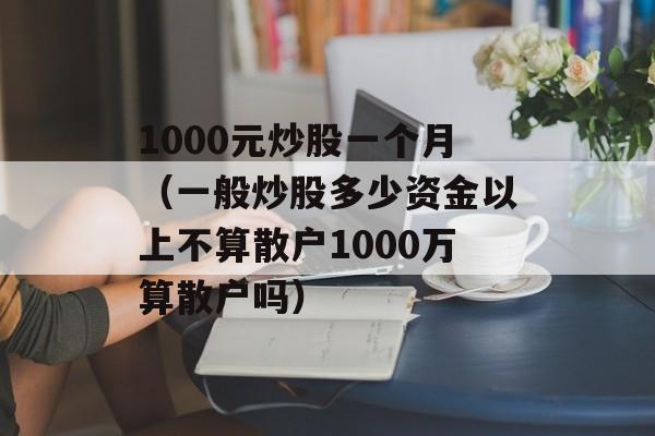 1000元炒股一个月（一般炒股多少资金以上不算散户1000万算散户吗）