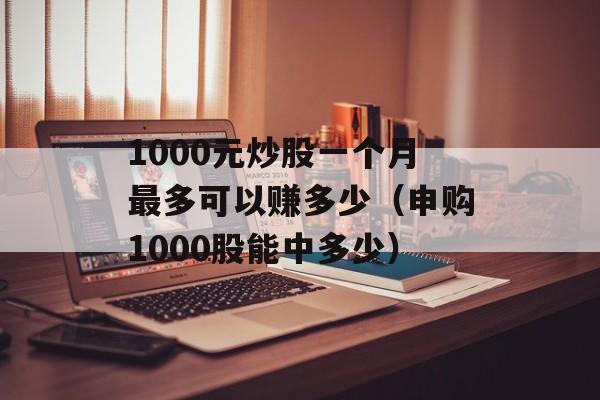 1000元炒股一个月最多可以赚多少（申购1000股能中多少）