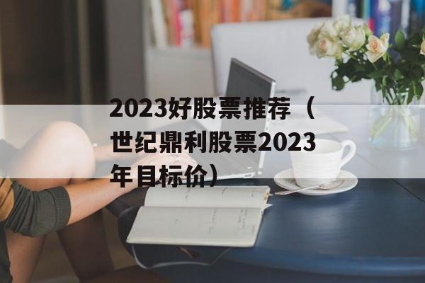 2023好股票推荐（世纪鼎利股票2023年目标价）