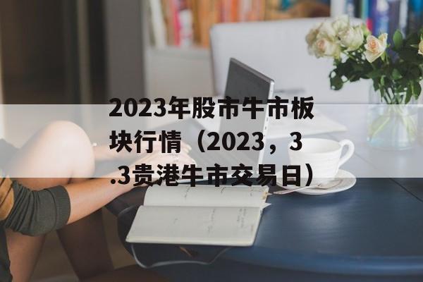 2023年股市牛市板块行情（2023，3.3贵港牛市交易日）