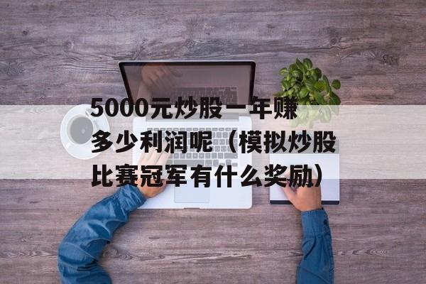 5000元炒股一年赚多少利润呢（模拟炒股比赛冠军有什么奖励）