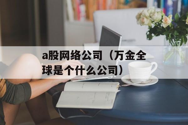 a股网络公司（万金全球是个什么公司）