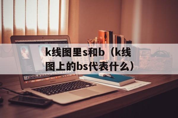 k线图里s和b（k线图上的bs代表什么）