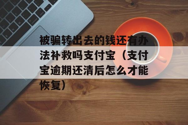 被骗转出去的钱还有办法补救吗支付宝（支付宝逾期还清后怎么才能恢复）