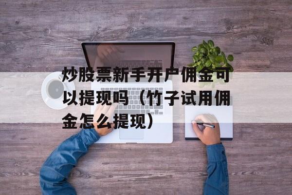 炒股票新手开户佣金可以提现吗（竹子试用佣金怎么提现）