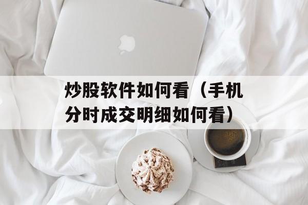 炒股软件如何看（手机分时成交明细如何看）