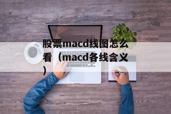 股票macd线图怎么看（macd各线含义）