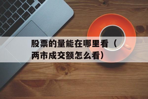 股票的量能在哪里看（两市成交额怎么看）