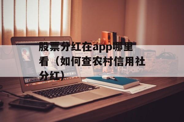 股票分红在app哪里看（如何查农村信用社分红）