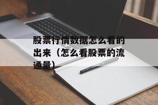 股票行情数据怎么看的出来（怎么看股票的流通量）