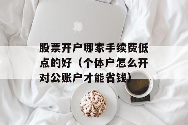 股票开户哪家手续费低点的好（个体户怎么开对公账户才能省钱）