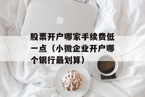 股票开户哪家手续费低一点（小微企业开户哪个银行最划算）