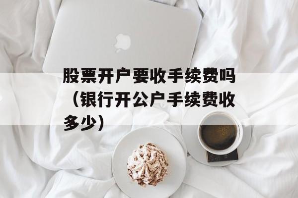 股票开户要收手续费吗（银行开公户手续费收多少）